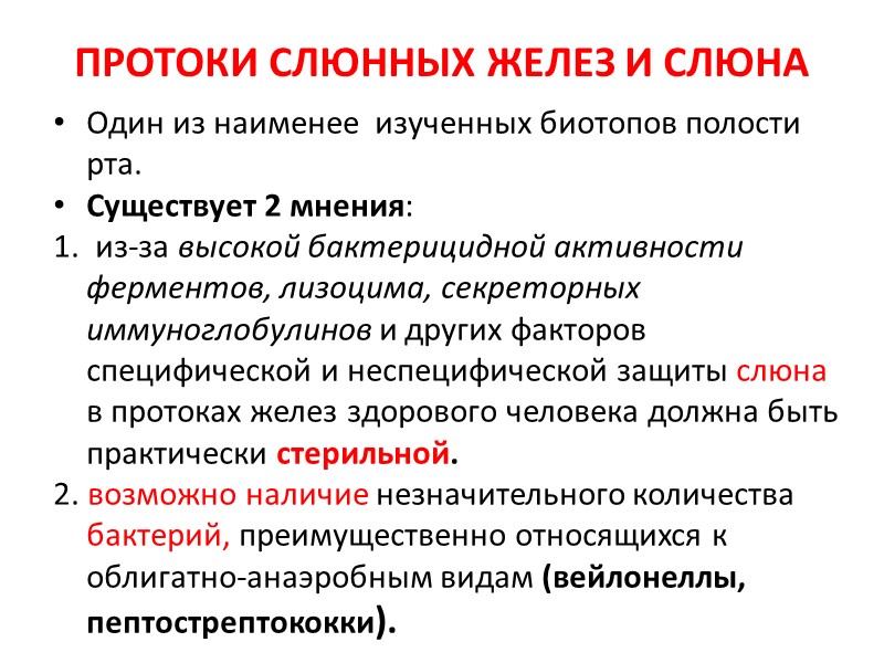 ПРОТОКИ СЛЮННЫХ ЖЕЛЕЗ И СЛЮНА Один из наименее  изученных биотопов полости рта. Существует